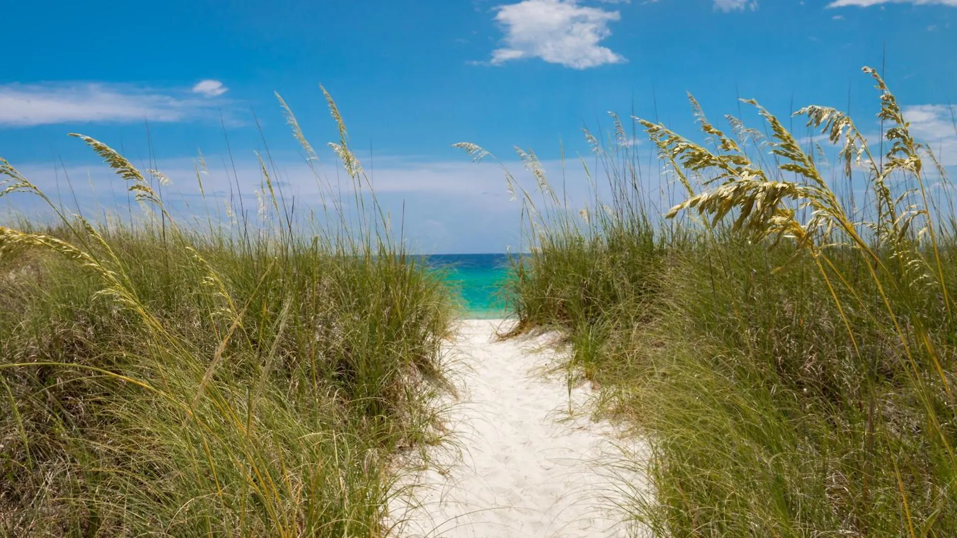 Beach Haven! 2Br 2Ba Sleeps 6! Coastal Paradise Awaits! Panama Stadt 0*,  USA